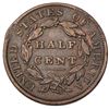 Image 5 : Quartet of Classic Head Half Cents