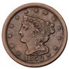 Image 3 : Quartet of Braided Hair Half Cents