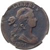 Image 2 : 1801 S-216 R1 NGC Graded Fine Details (Env. Damage))