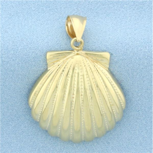 Seashell Pendant in 14k Yellow Gold