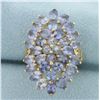 Image 1 : Tanzanite Statement Ring in 10K Yellow Gold