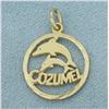 Image 1 : Cozumel Dolphin Charm in 14k Yellow Gold