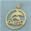 Image 2 : Cozumel Dolphin Charm in 14k Yellow Gold