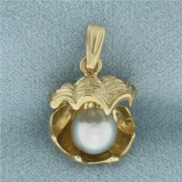 Tahitian Pearl in Oyster Shell 3D Pendant in 10K Yellow Gold