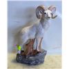 Image 1 : CERAMIC MOUNTAIN GOAT. 14 IN