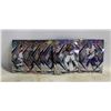 Image 1 : PANINI PHOENIX FOOTBALL – 10-CARD
