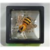 Image 1 : NEW LARGE BEE BROOCH WITH RHINESTONES