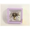 Image 1 : NEW BRASS SPIDER STATUE