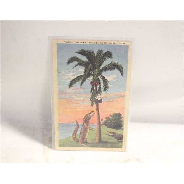 FLORIDA VINTAGE POSTCARD, 1944