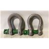 Image 1 : GREEN PIN BOW SHACKLES 9.5T