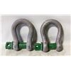 Image 1 : GREEN PIN BOW SHACKLES 9.5T