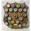Image 1 : VINTAGE NHL WALL SHIELD PUCK DISPLAY
