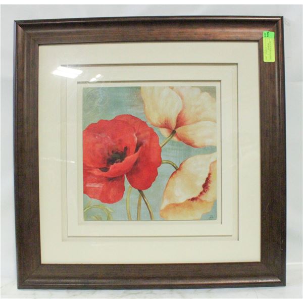 POPPY FLOWER PICTURE