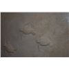 Image 3 : SHADOWBOX FRAMED CAST PAPER RELIEF SCULPTURE TITLED "SHADOWS OF THE TIDE"; SIGNED ROCHUS (ROCHUS DRI