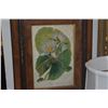 Image 2 : FRAMED ORIGINAL PRINT, NYMPHEA STELLATA WILD; VAN HEATTE (12" X 15")