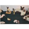 Image 4 : COLLECTION OF SIAMESE CAT FIGURINES (ROYAL DOULTON, BESWICK, GOEBEL, LIMOGES, ETC. (19 PCS)