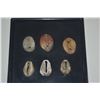Image 3 : COLLECTION OF CHINESE BRASS & SHELL & MONETARY COINS