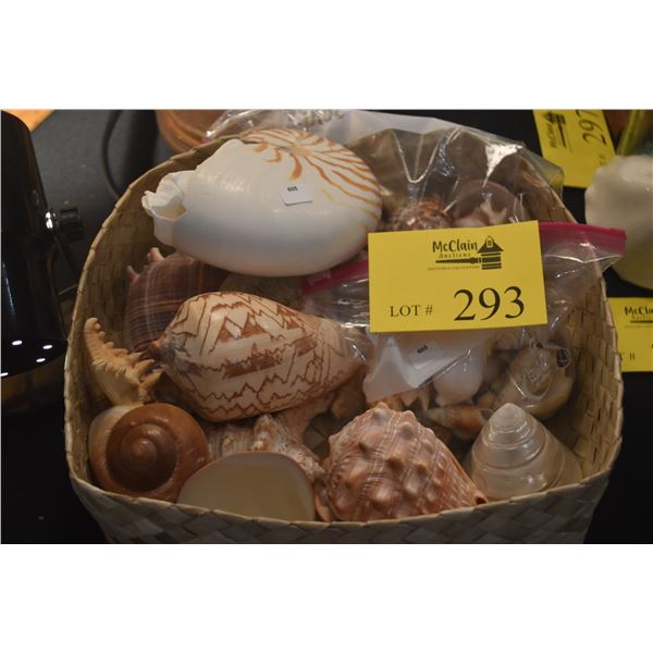 COLLECTION OF SEASHELLS (DOES NOT INCLUDE BASKET)