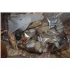 Image 3 : COLLECTION OF SEASHELLS (DOES NOT INCLUDE BASKET)
