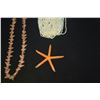 Image 4 : MIXED LOT: SEED PEARL & STARFISH NECKLACE, CHEVRON GLASS TUBE BEAD NECKLACE & PERUVIAN CERAMIC NECKL