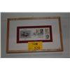 Image 1 : FRAMED 1994 UNITED STATES-CHINA JOINT ISSUE STAMP FEATURING ENDANGERED CRANES (BLACK NECK CRANE & WH
