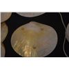 Image 3 : COLLECTION OF MOTHER OF PEARL (NACRE) SEASHELL DISHES, BOWL & PLACEMAT (10 PCS)