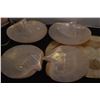 Image 5 : COLLECTION OF MOTHER OF PEARL (NACRE) SEASHELL DISHES, BOWL & PLACEMAT (10 PCS)
