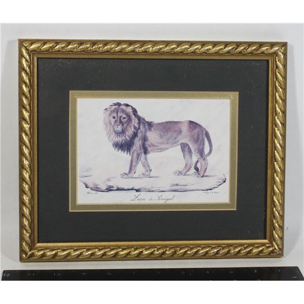 SMALL LION FRAMED ART11" X 9"