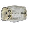 Image 12 : 4 Metal Belt Buckles