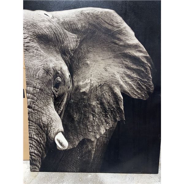 Black and White Elephant Canvas Wall Art