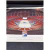 Image 4 : Edmonton Oilers 2016 Opening Night Arena Poster and Player Photo Collage