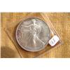 American Eagle Silver Dollar 2004