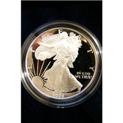 American Eagle Proof W 2006