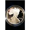 American Eagle Proof W 2006