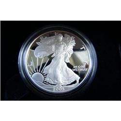 American Eagle Proof W 2005