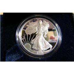 American Eagle Proof W 2006