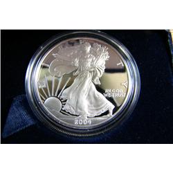 American Eagle Proof W 2004