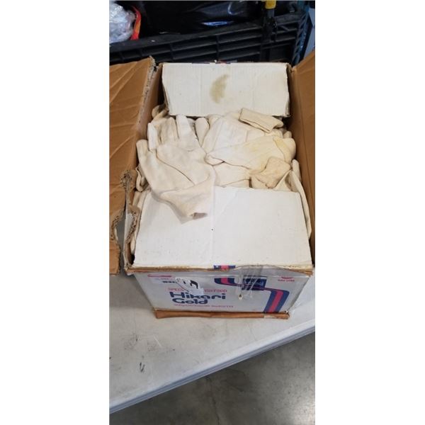 CASE OF COTTON CANVAS WORK GLOVES