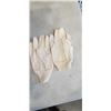 Image 2 : CASE OF COTTON CANVAS WORK GLOVES