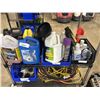Image 1 : LOT OF CAR FLUIDS, EYE WASH, AND MOLD CONTROL