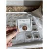 Image 3 : LARGE LOT OF ASSORTED GRADED PENNIES