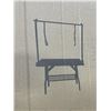 Image 2 : PET GROOMING TABLE