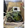 Image 4 : 2 BOXES OF TROPICAL PLANTS, SPIDERS, DRAGON TAIL, BLACKBERRY ETC