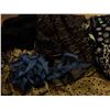 Image 3 : UNCLAIMED STORAGE:  2 BOXES OF ASSORTED SEWING MATERIAL
