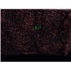 Image 3 : UNCLAIMED STORAGE:  1 QUILT & 2 PILLOWCASES