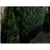 Image 3 : UNCLAIMED STORAGE:  DOUBLE SIZE WEED BLANKET