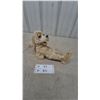Image 1 : Vintage Lehmann Skippy the Bushytail Pup Wind-Up Mechanical Plush Bee-Stung Dog Toy, Working
