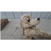 Image 2 : Vintage Lehmann Skippy the Bushytail Pup Wind-Up Mechanical Plush Bee-Stung Dog Toy, Working