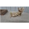 Image 4 : Vintage Lehmann Skippy the Bushytail Pup Wind-Up Mechanical Plush Bee-Stung Dog Toy, Working