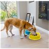 Image 4 : Brand New - Brand New Youngever 2-Pack Dog Water & Slow Feeder Bowls – Blue & Yellow